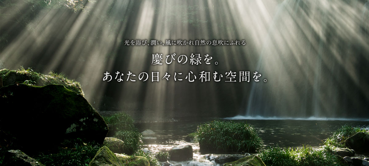 慶緑