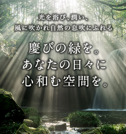 慶緑
